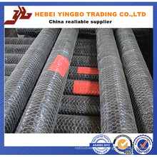 Hexagonal Wire Mesh/Chicken Wire Mesh/Galvanized Hexagonal Wire Netting